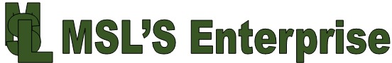 MSL'S Enterprise Logo